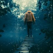NatureBoyDE1