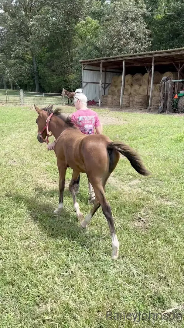 bibailey Just getting my Luna use to me 4 Months old onlyfans xxx porn videos