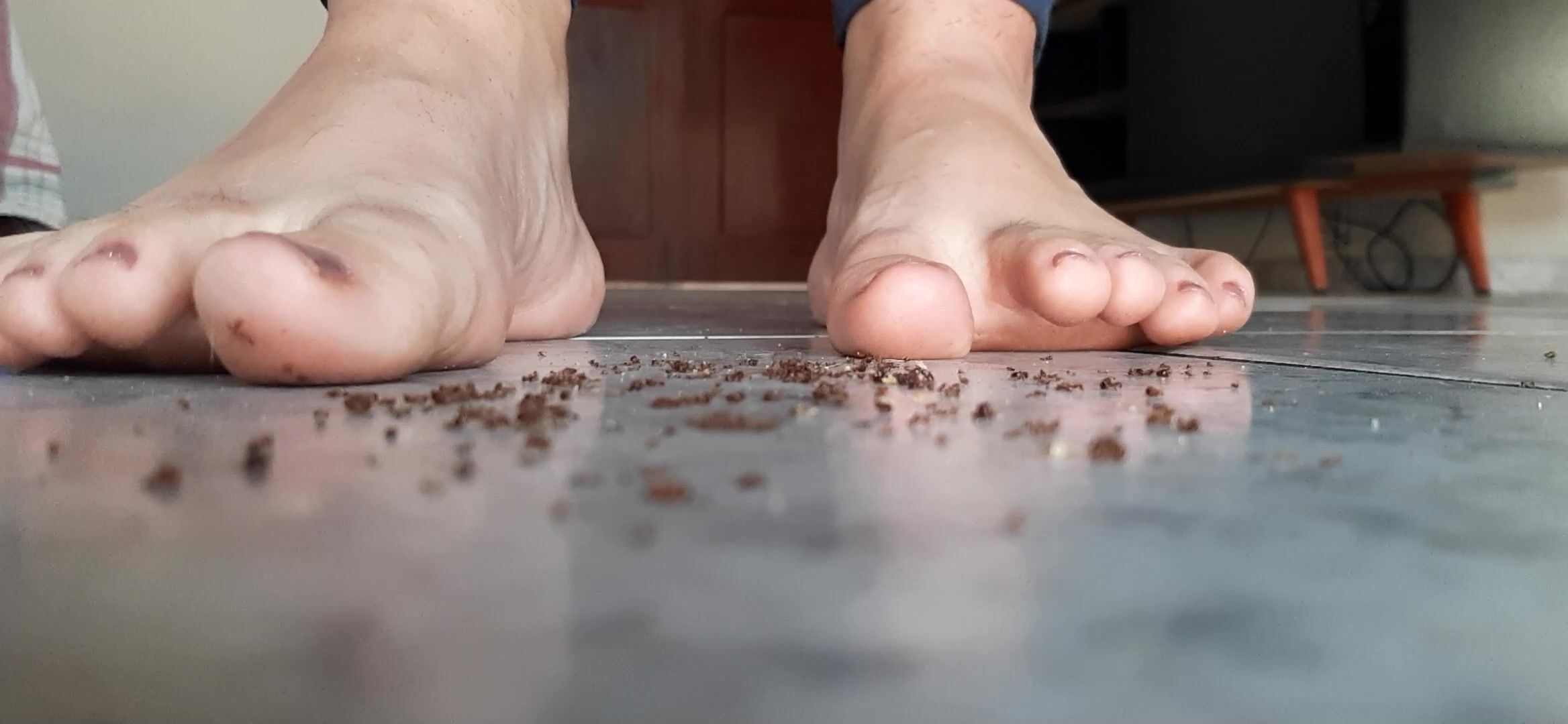 giantess crushes ants