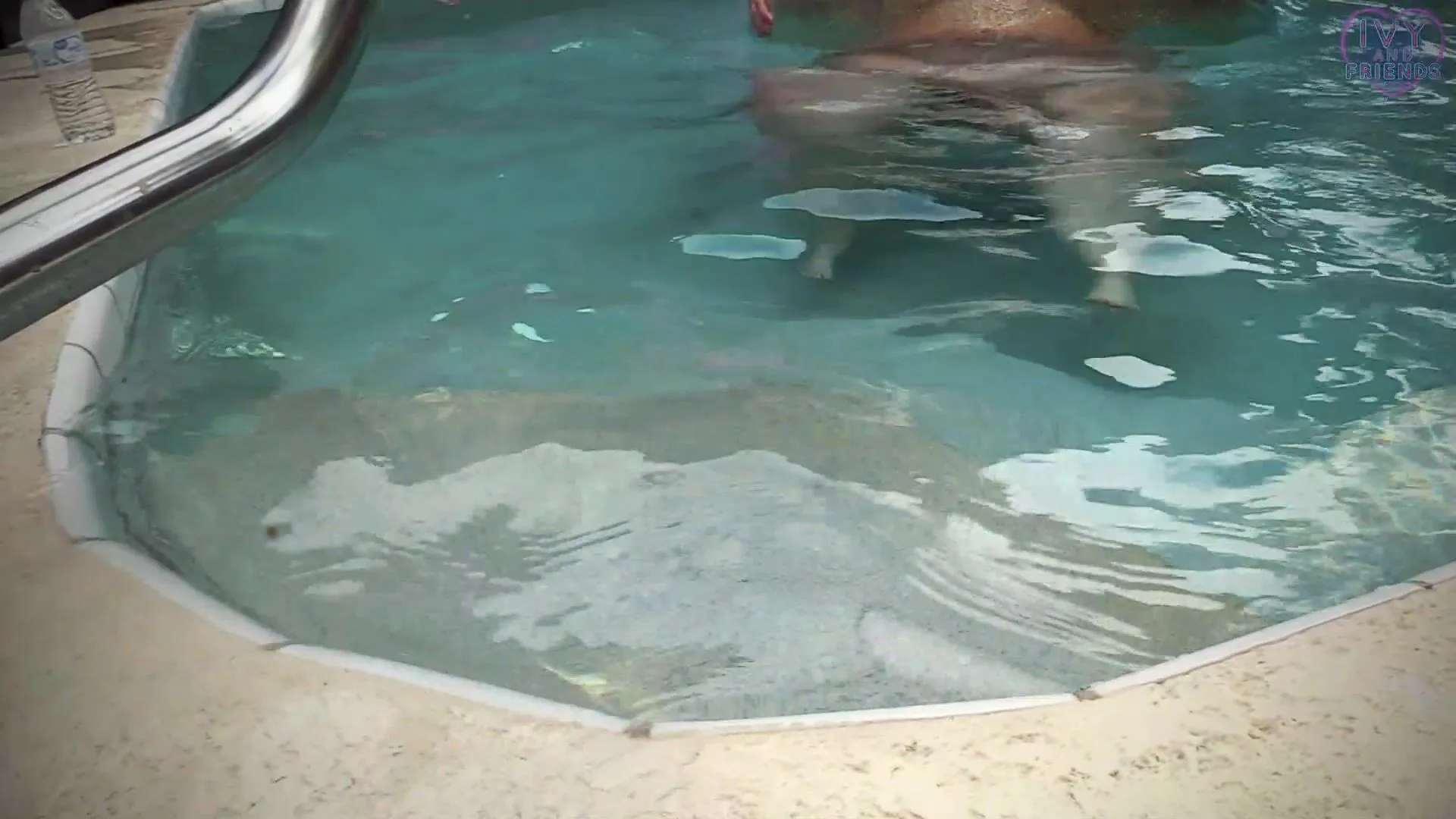 Ssbbw Jae Pool-play