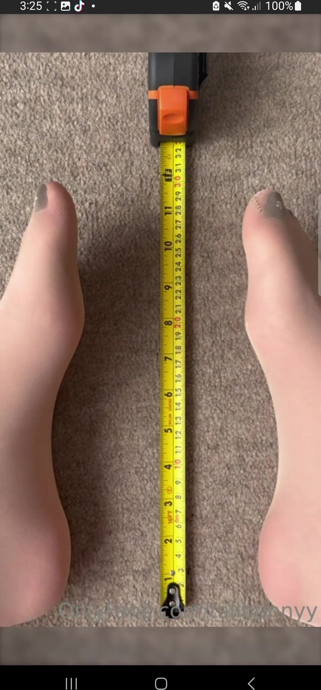 Tall bunny measure her big feet