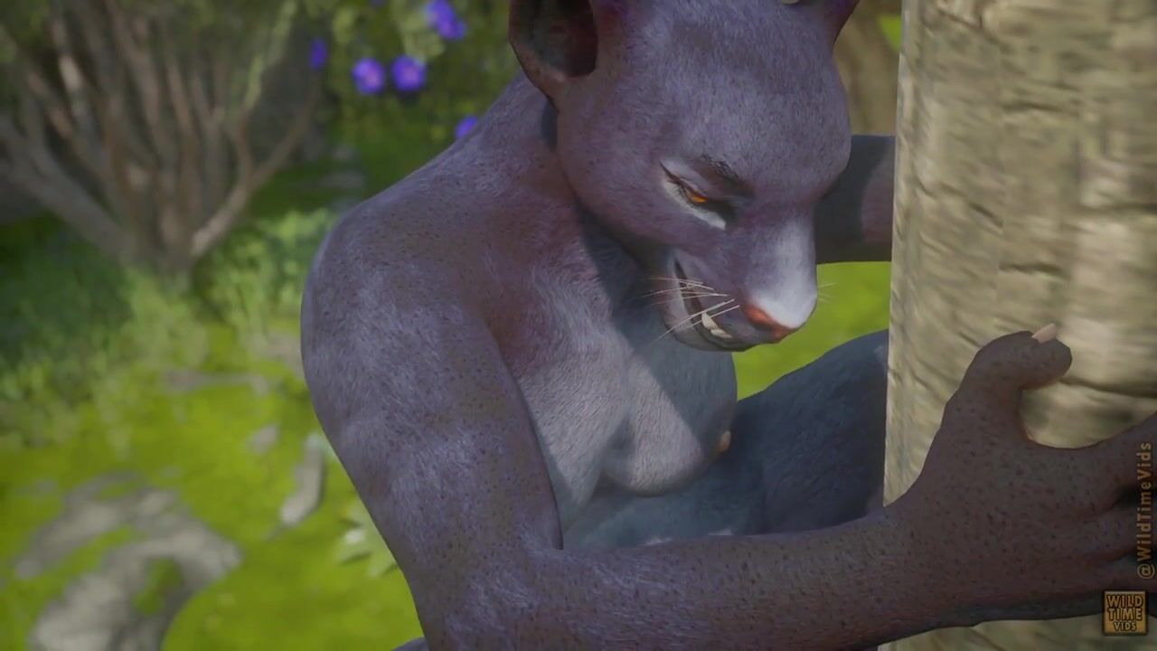 3D Animation - Panther Gets Fucked By Male