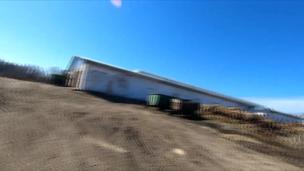 Miss4motivated - Naked Blonde Russian Teen Walks on the Farm
