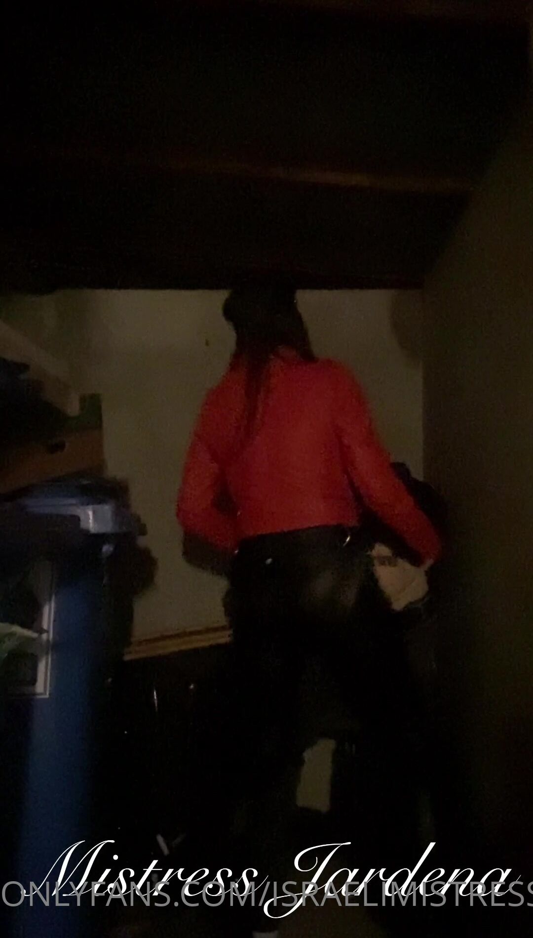 Mistress Jardena fucking slave in a dumpster