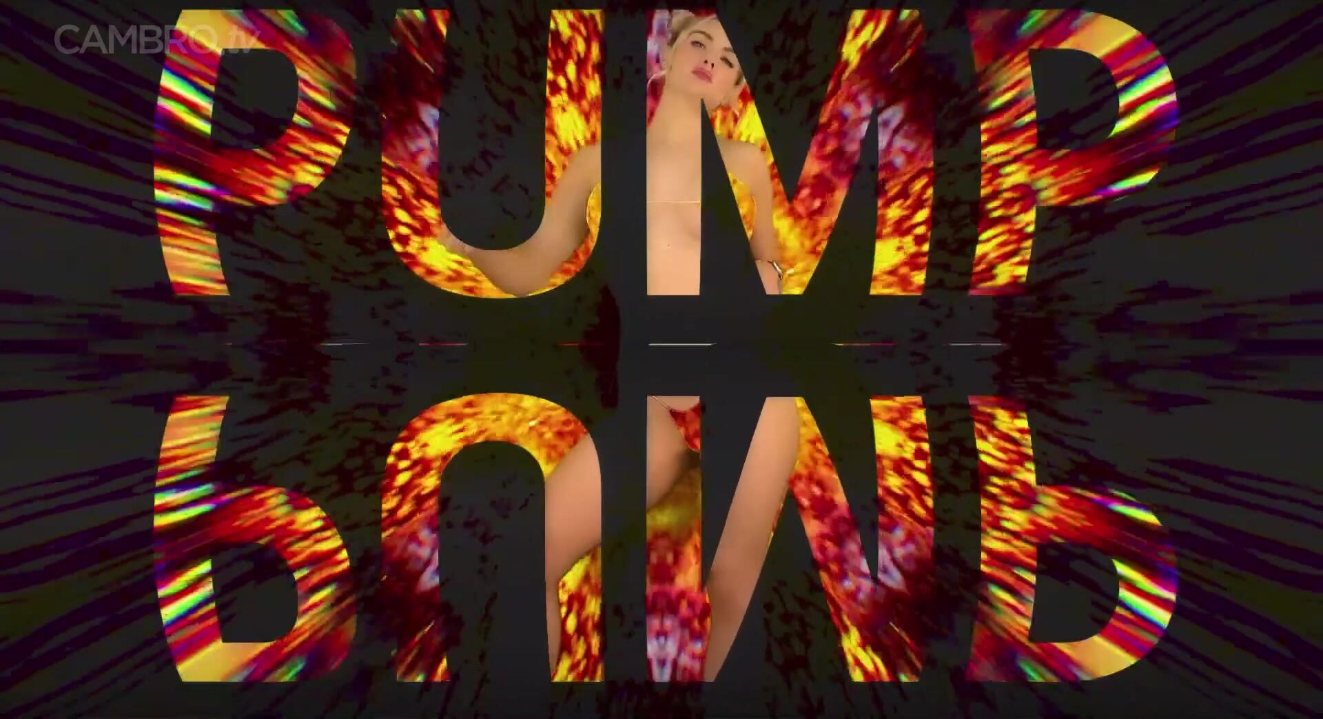 Dommelia - melter 1