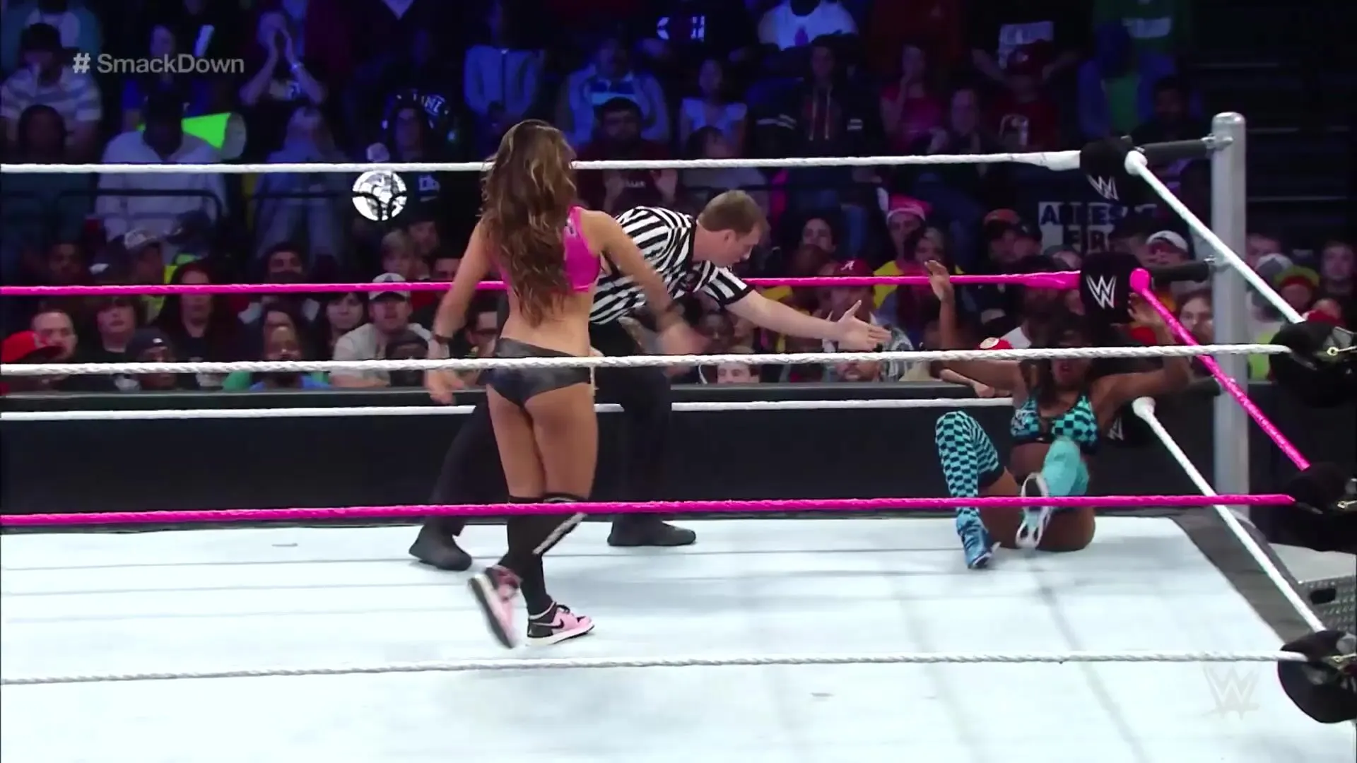 Nikki Bella vs naomi