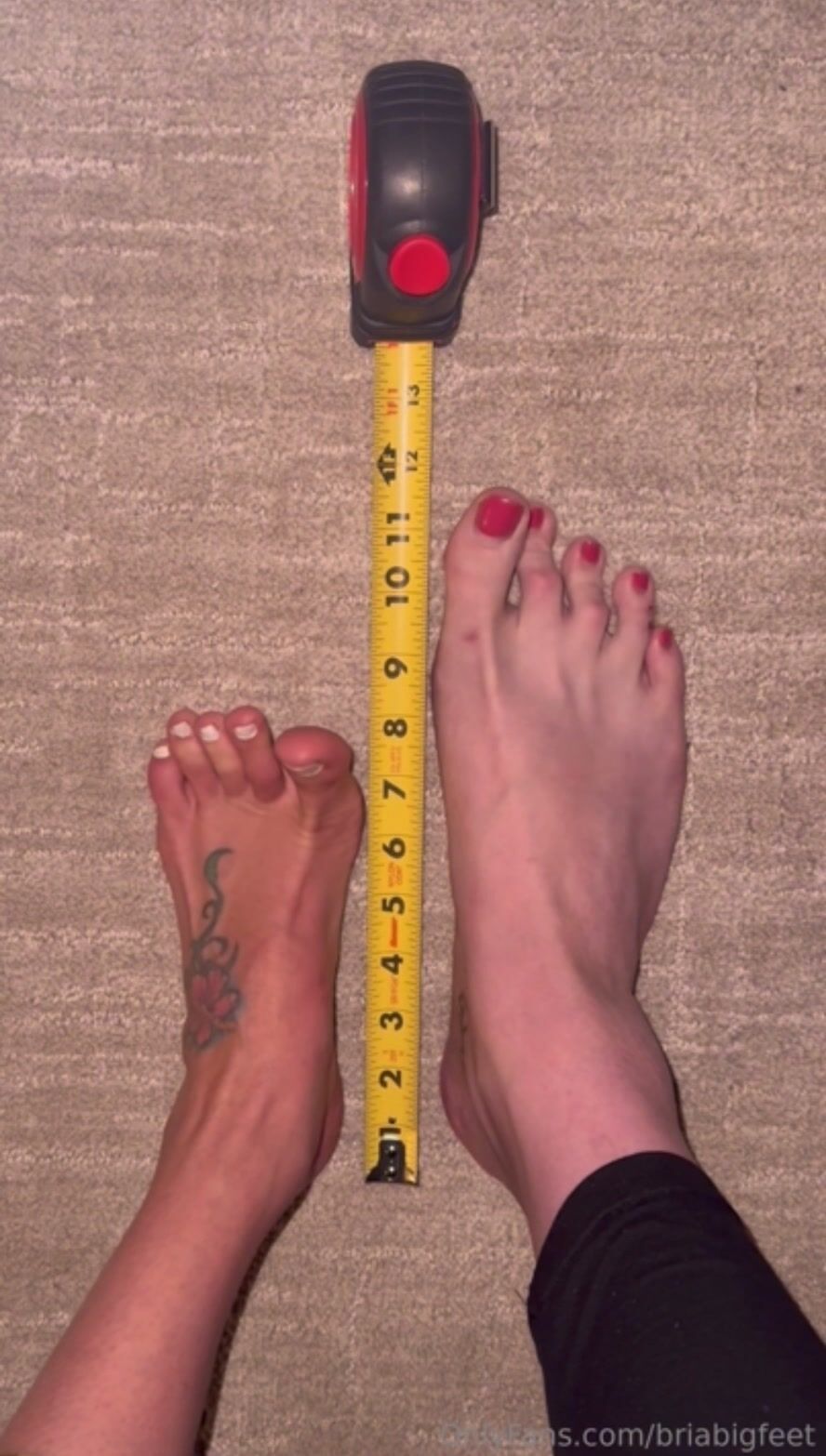 briabigfeet