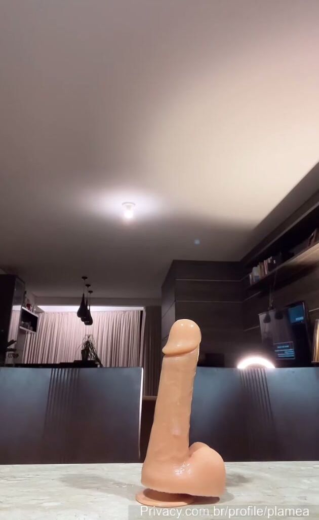 plamea