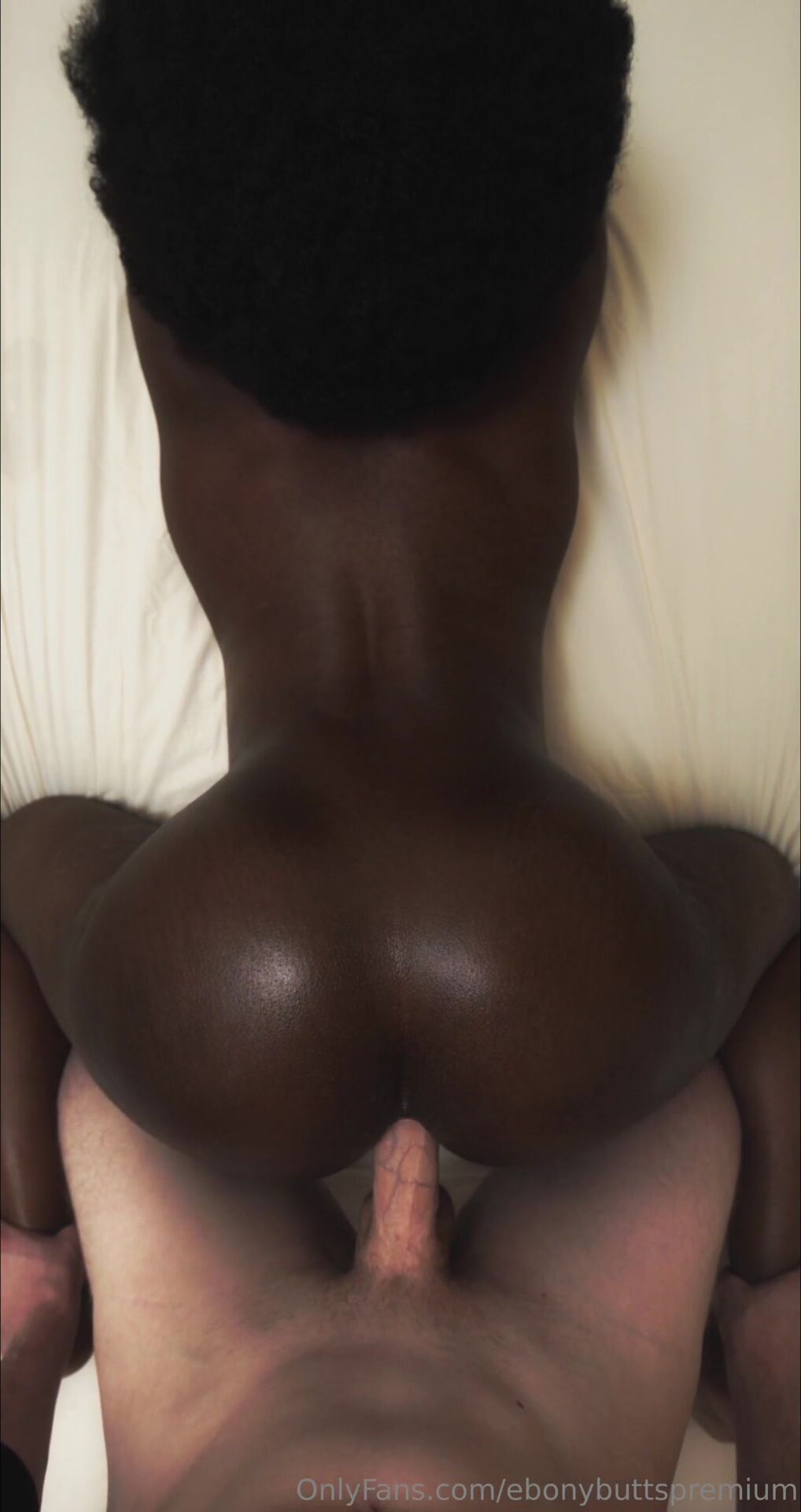 Ebonybutspremium3