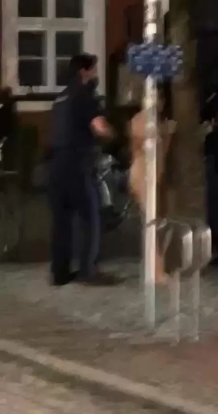 Naked asian guy gets taken down by german police