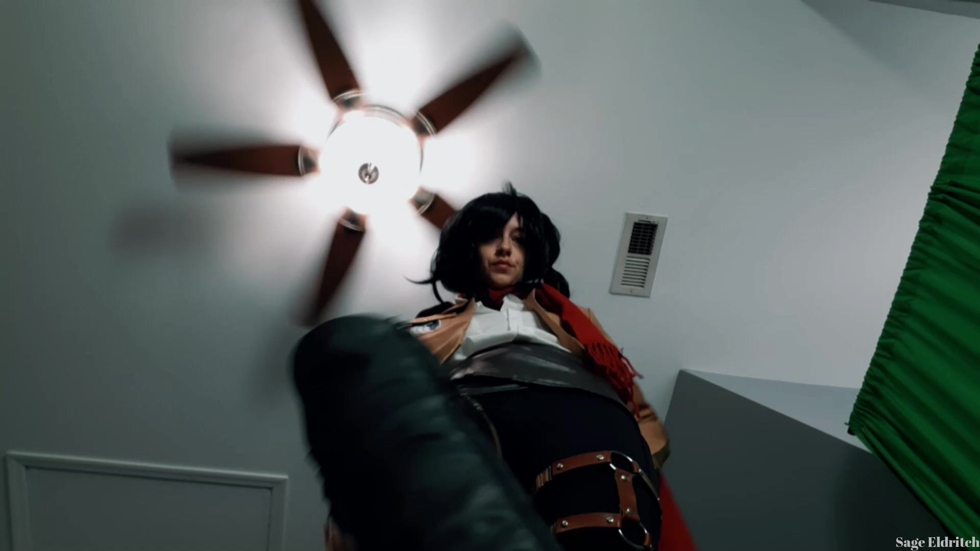 mikasa ackerman executrix