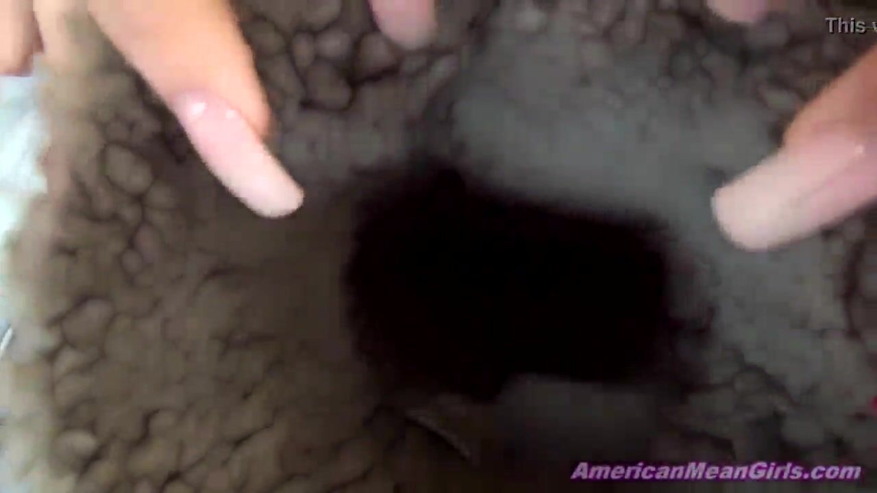 Harley - stinky feet
