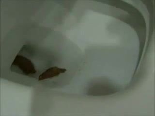 Latinas shitting over toilet