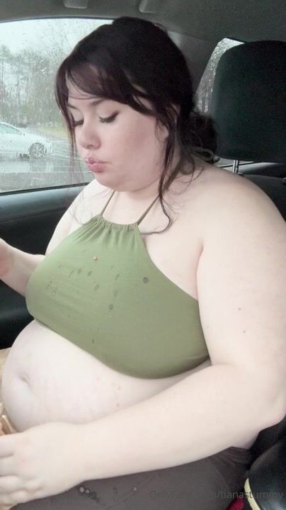 Tianastummy Car Stuffing
