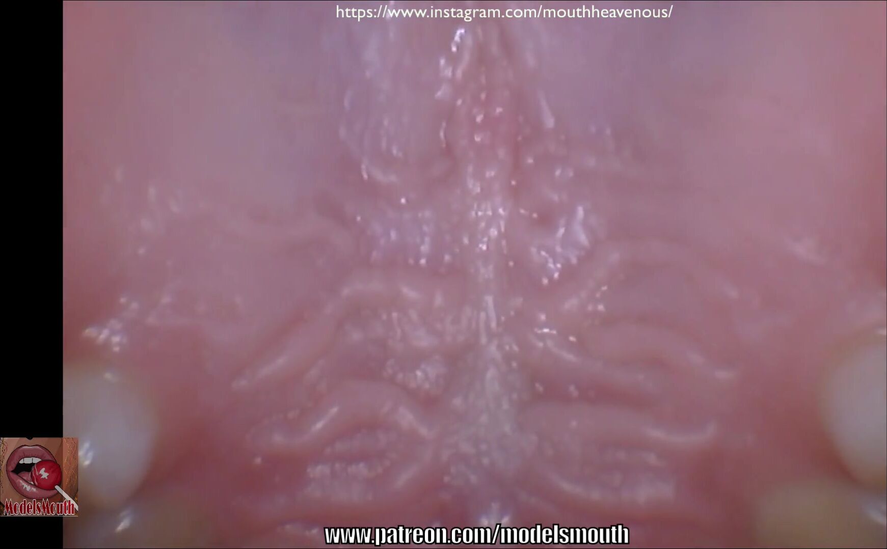 Mouthheavenous - mouth tour