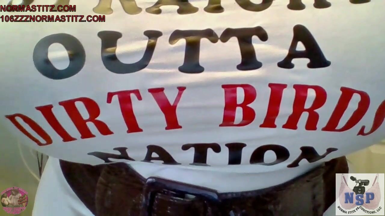 106zzzNormaStitz - 0094__READY_FOR_THE_DIRTY_BIRDS_BAB