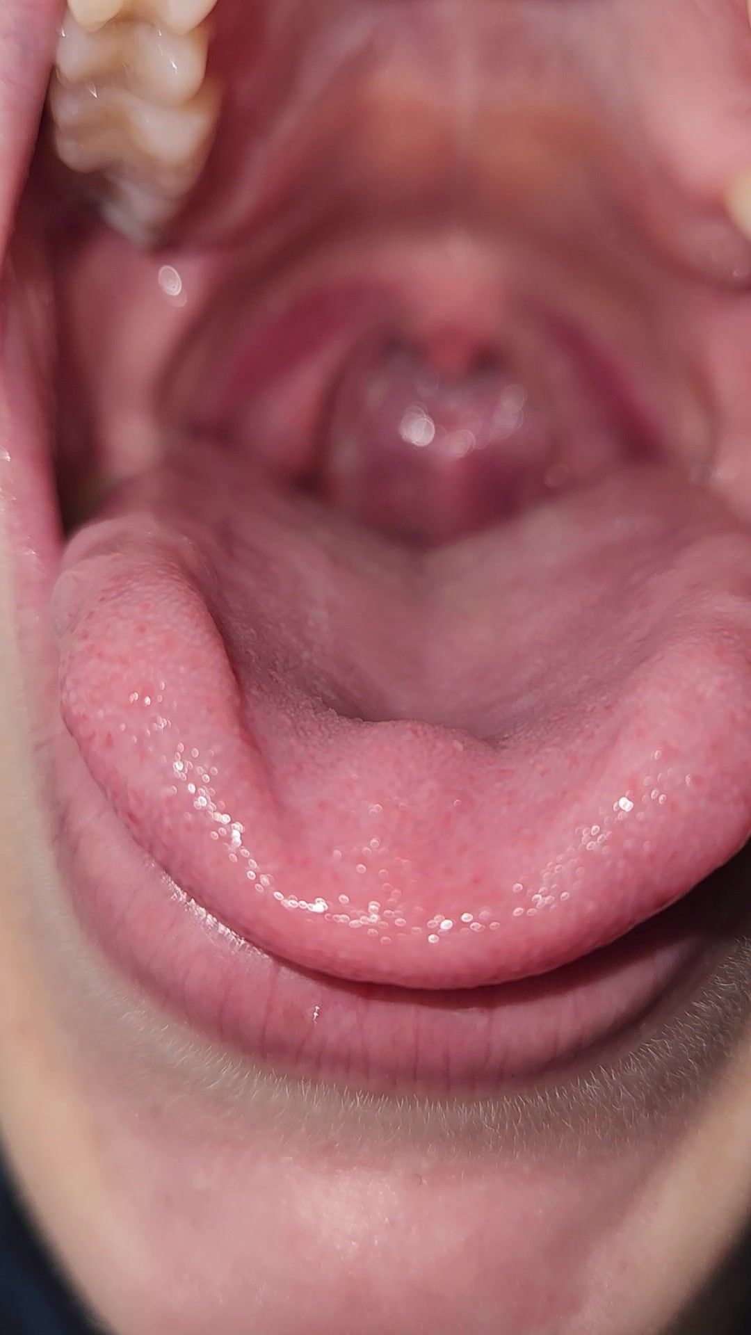 MythicMaggie - Giantess Maggie swallows you whole