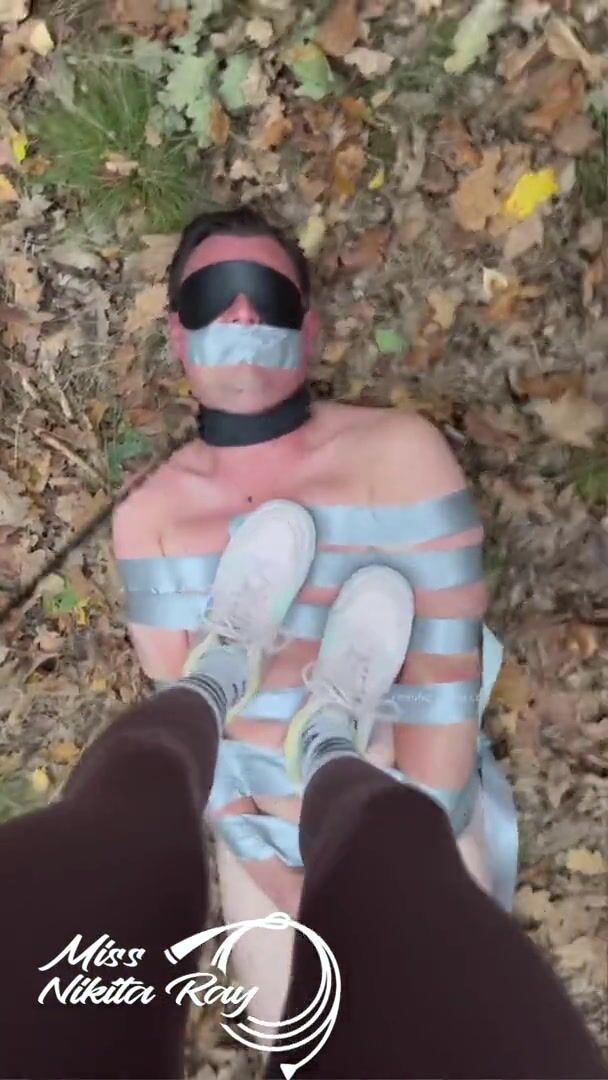 Nikita Ray - Pig In The Forest
