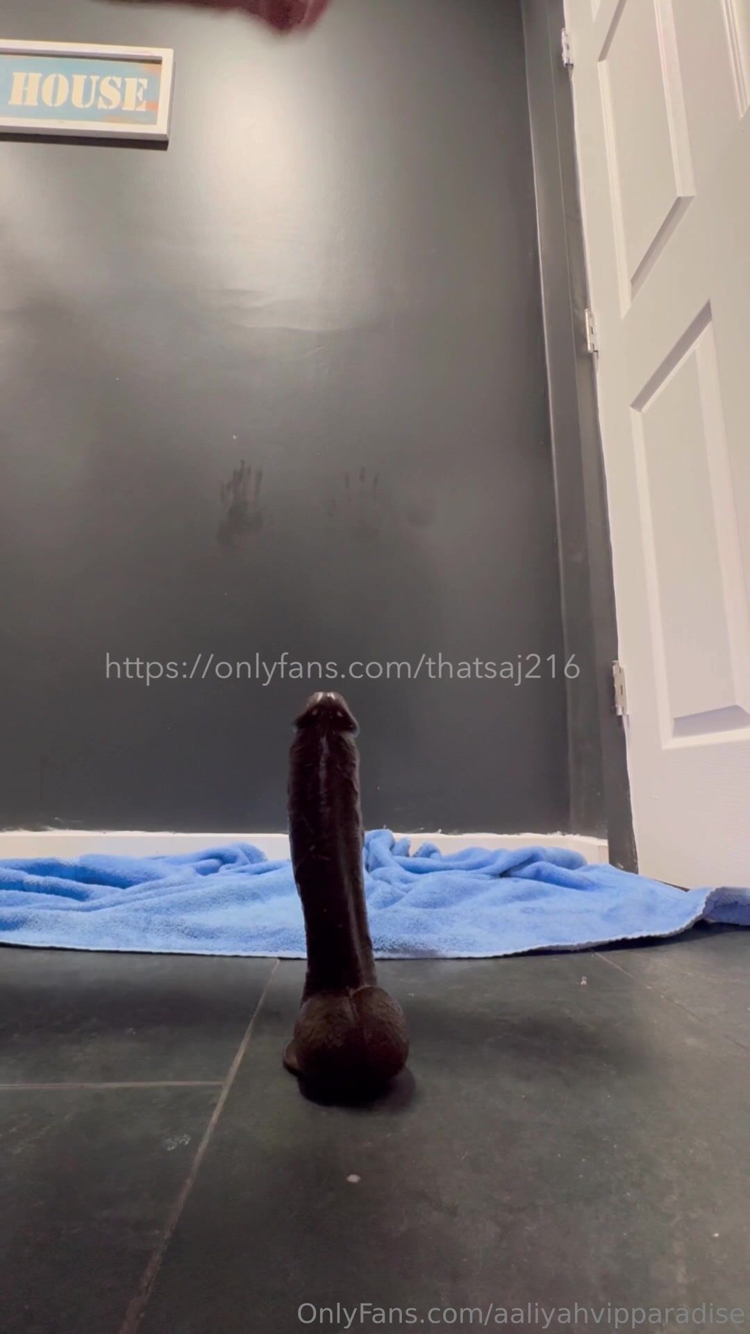 thatsaj216 anal