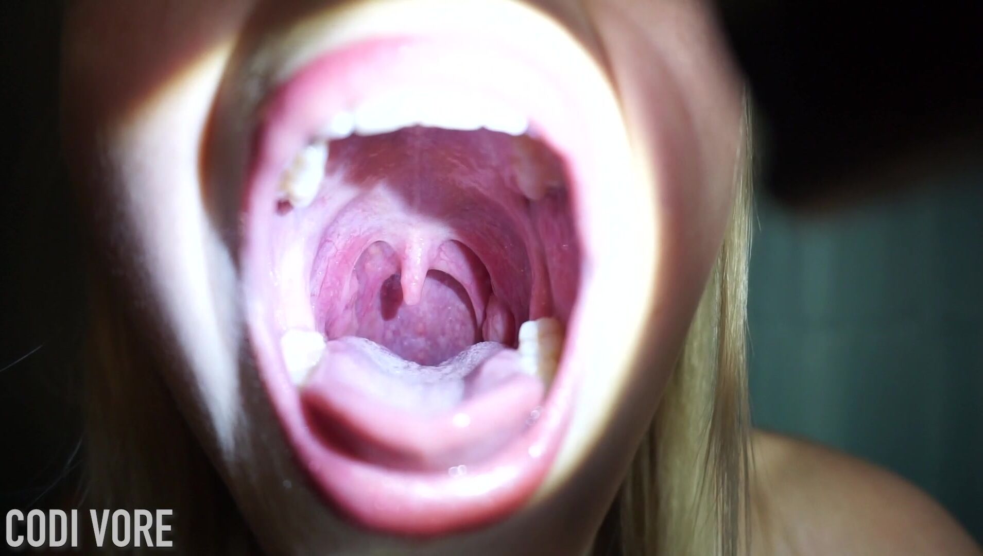 Cody Mouth Display