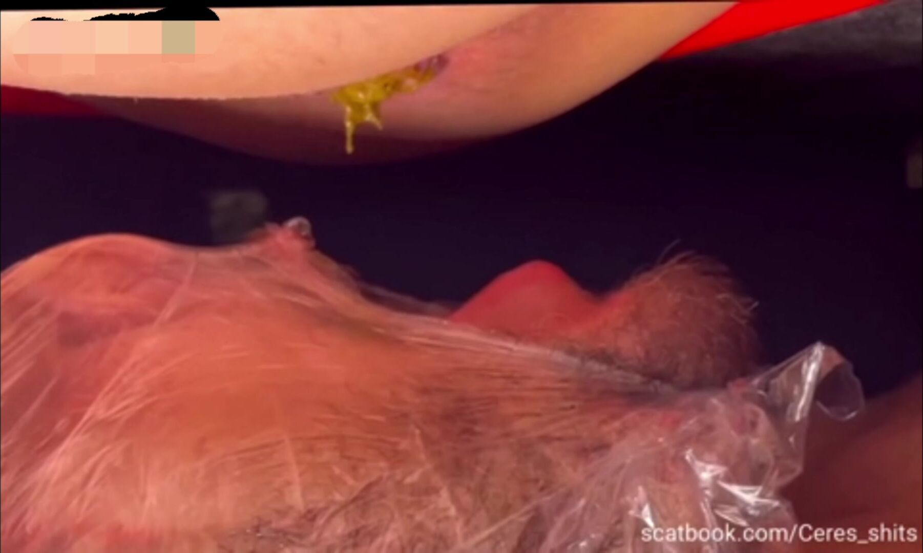 Goddess Ceres – Swallow Shit Or Dont Breathe Loser