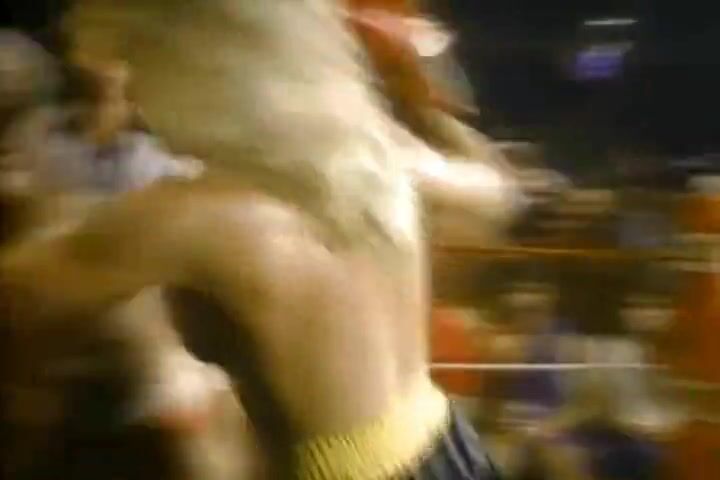 Vintage foxy boxing