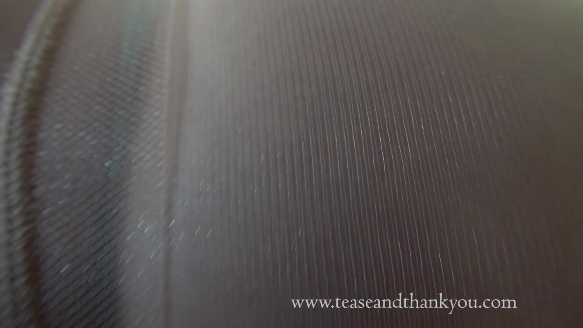 Mandy Marx - Mandy's Bikini Thong Hump