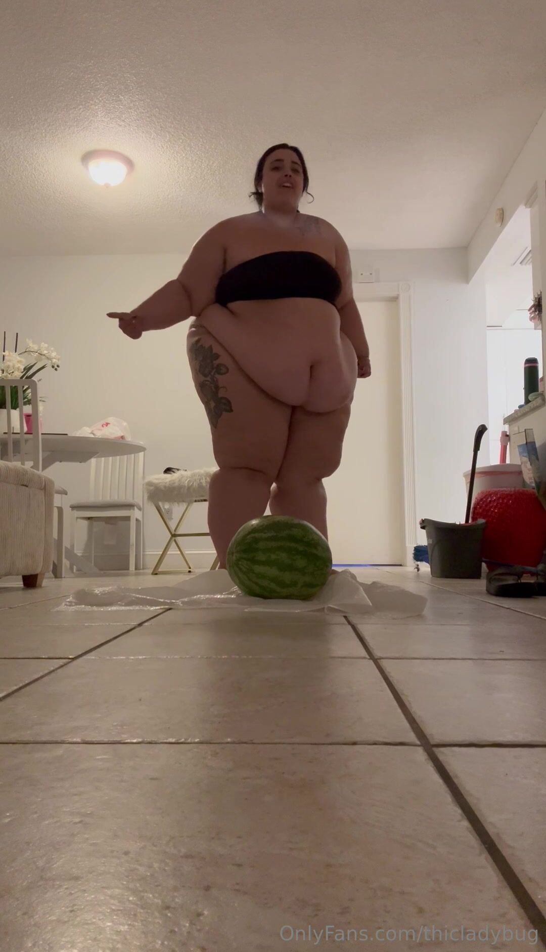 Thicladybug