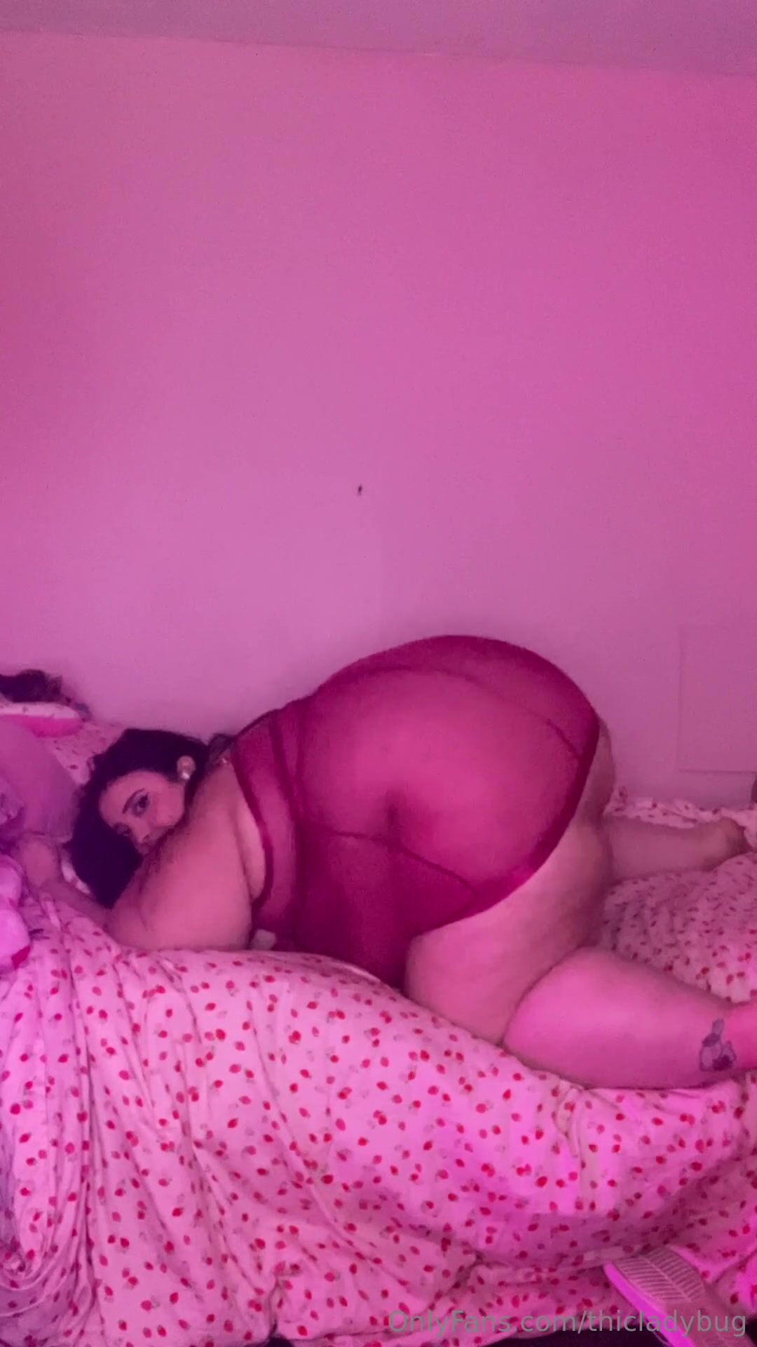 Thicladybug