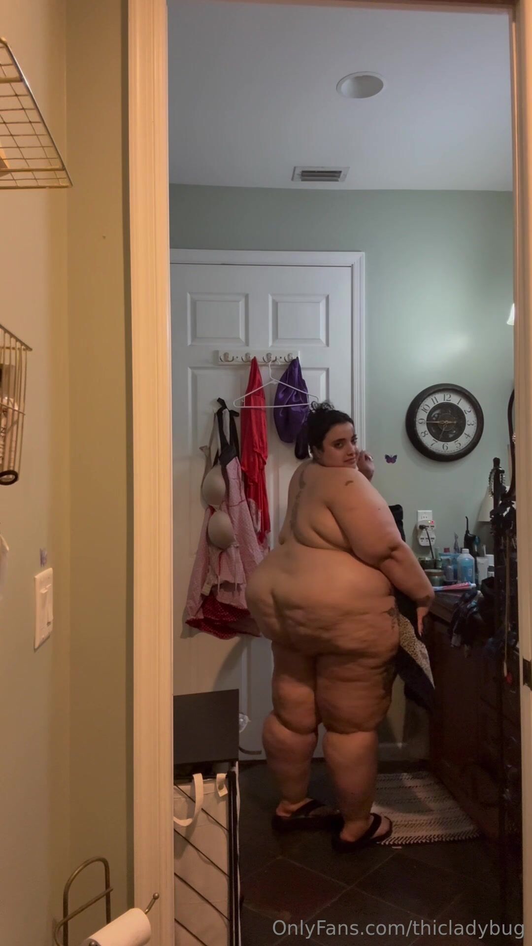 Thicladybug