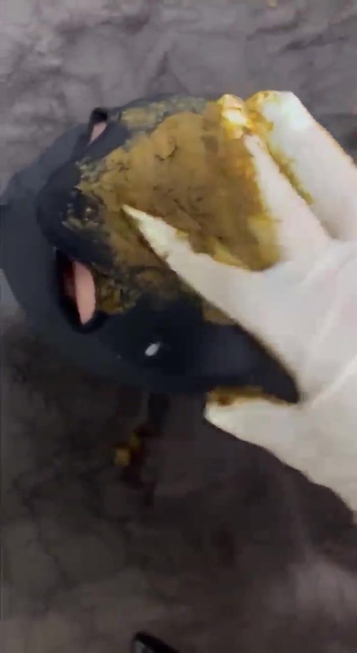 turkish femdom scat facesitting