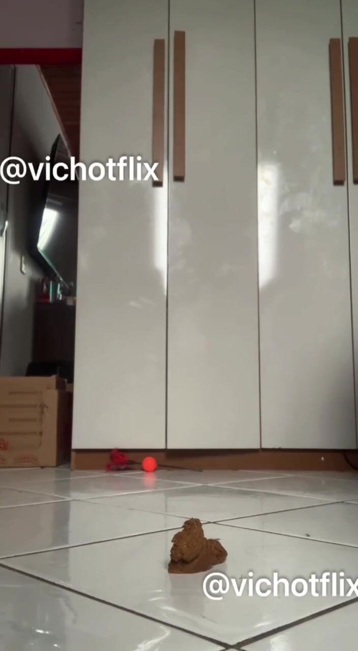 Brazilian private rare scat 2