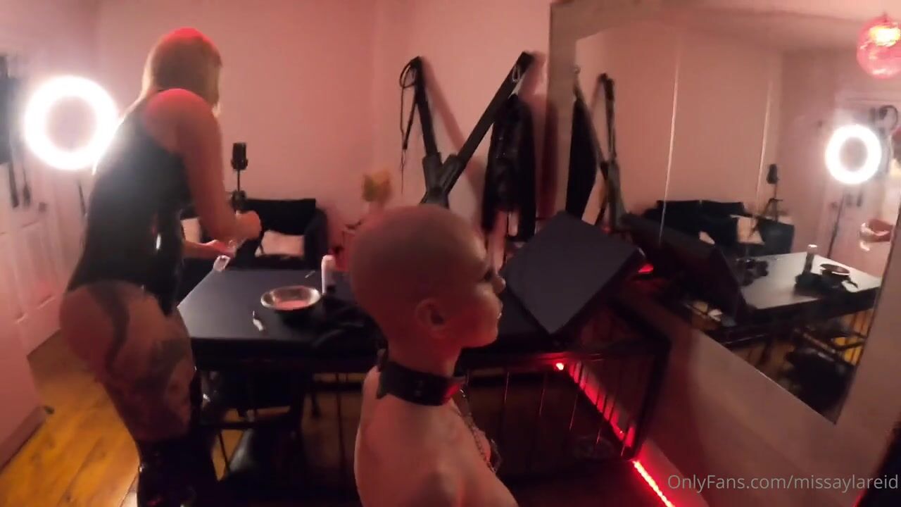 Miss Ayla Reid - I shave Hayley Brooke's head bald, write whore on her face, before using her