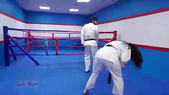 Karate Kicks