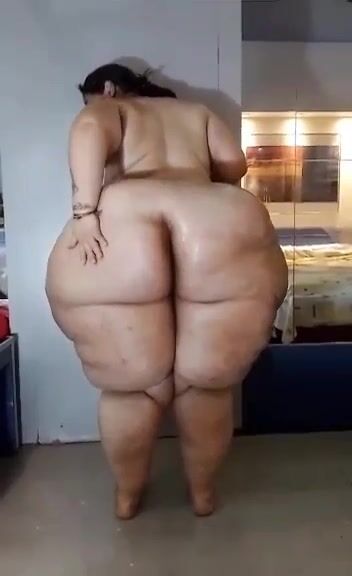 Pampear 1