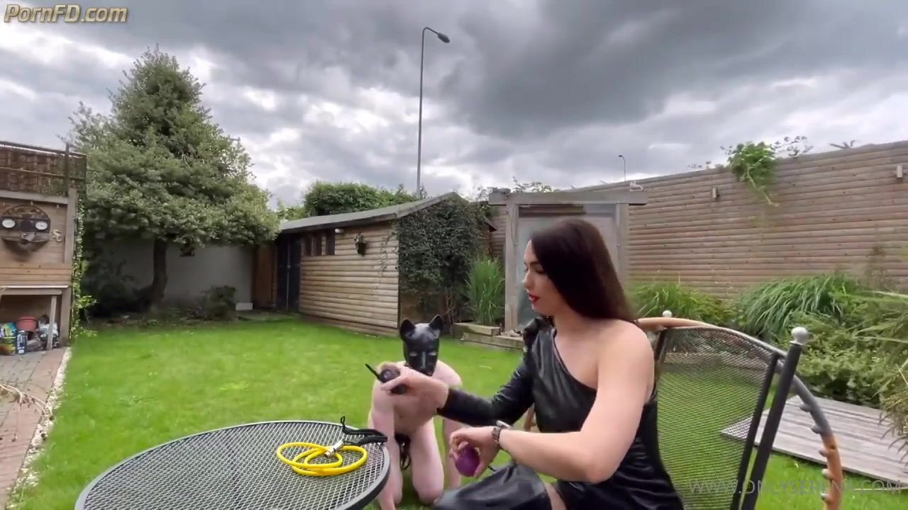 Gynarchy goddess serena.human pet dog