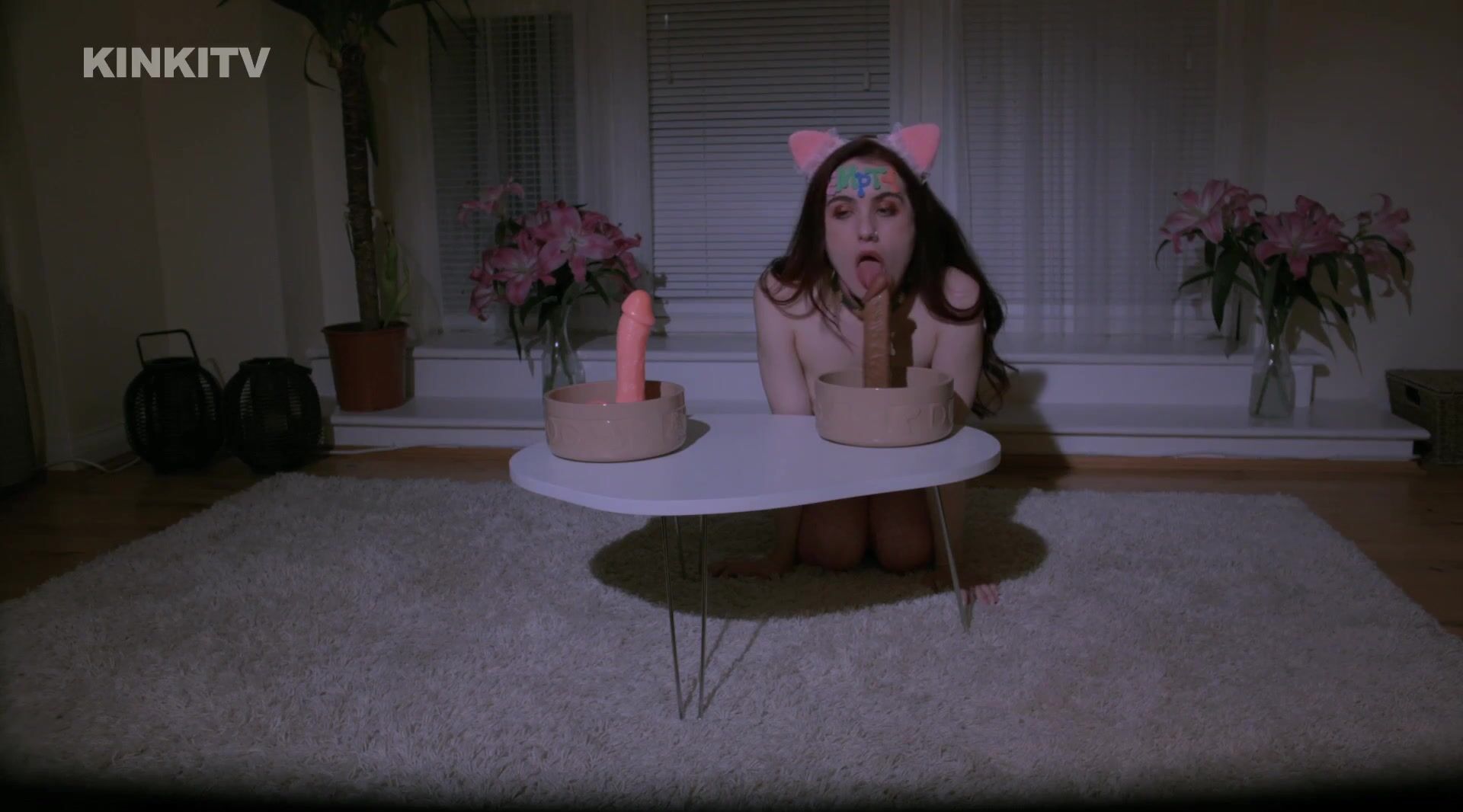 Petgirl Lola