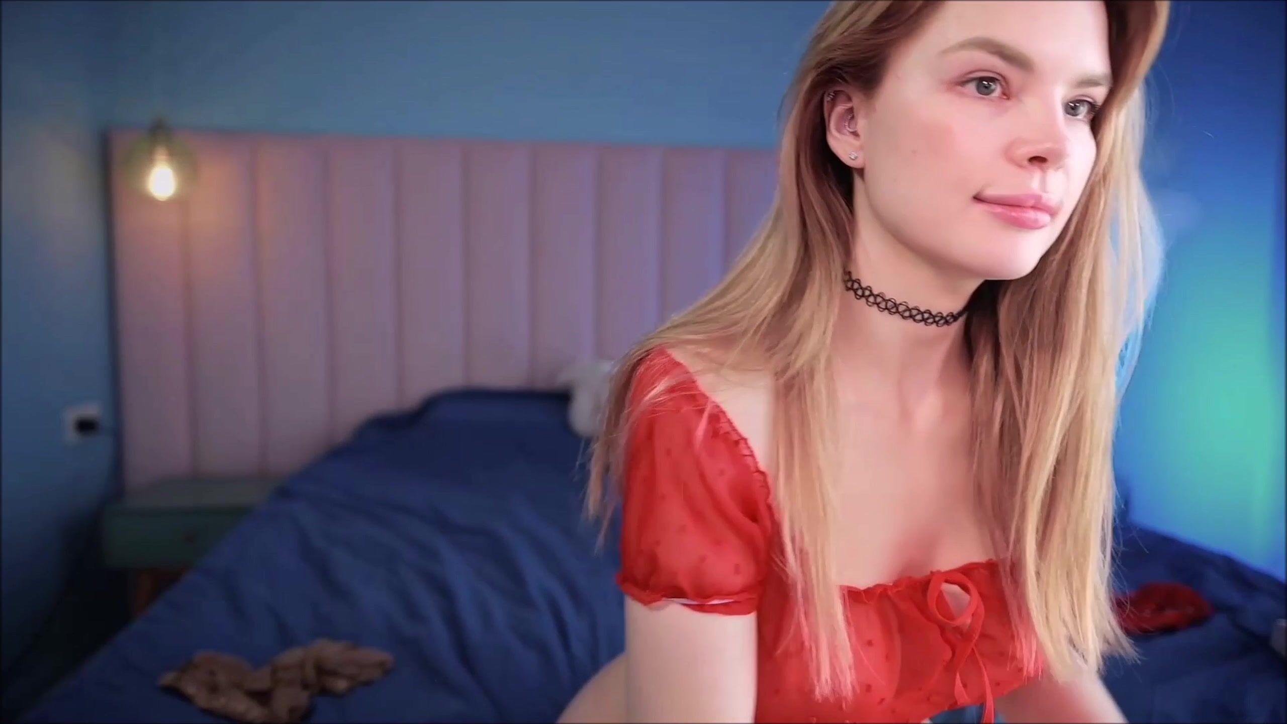 Gata rubia