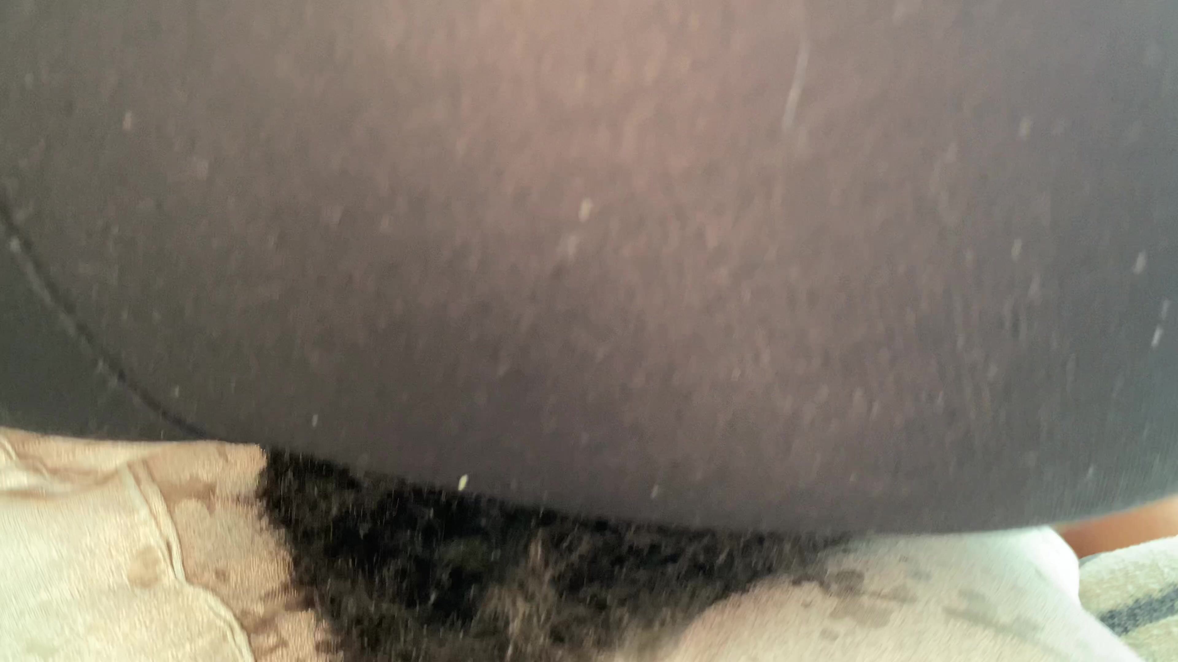 Tabbyebony fart