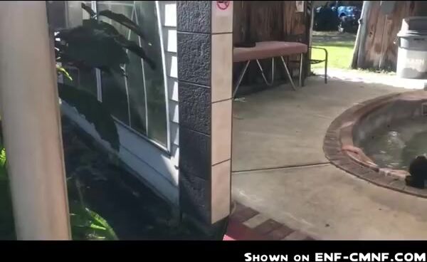 Girl robbed enf