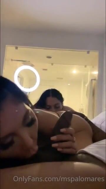ms palomares