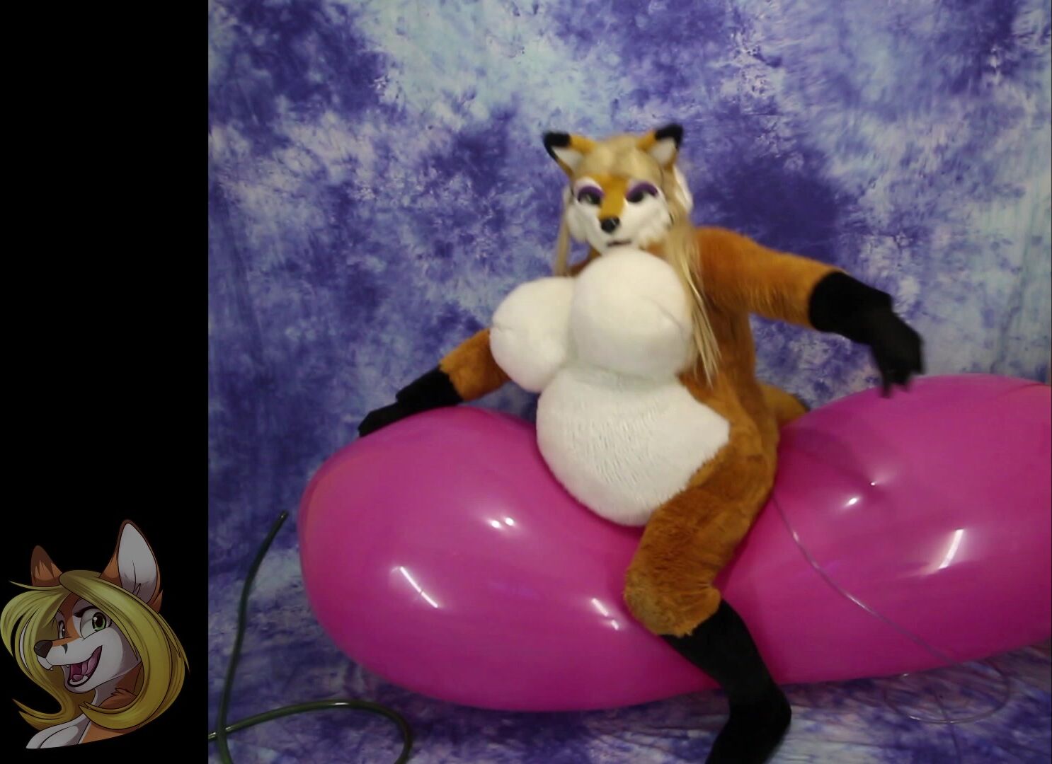GL 1200 and belly inflation fursuit Ratchet