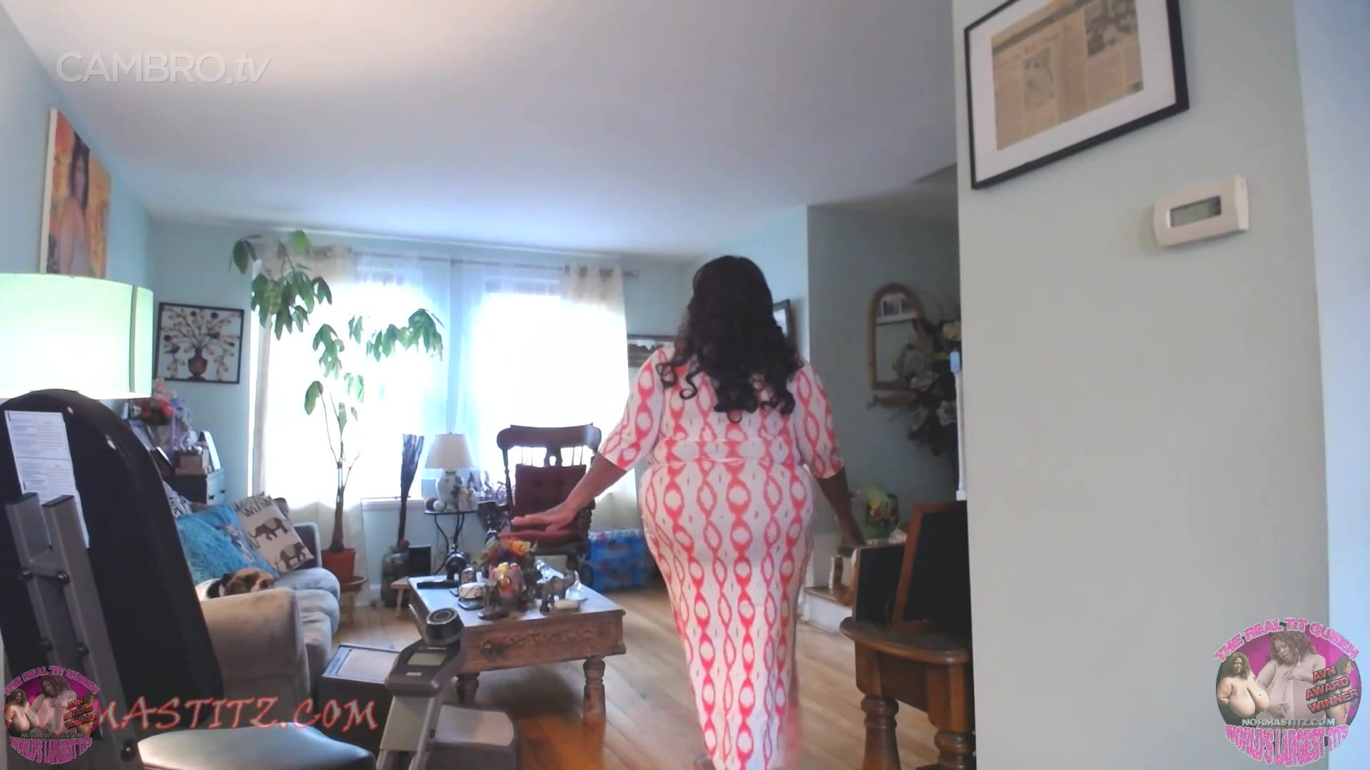NormaStitz
