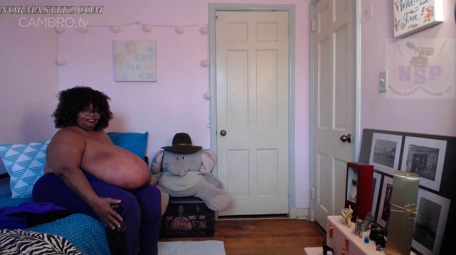 Norma Stitz