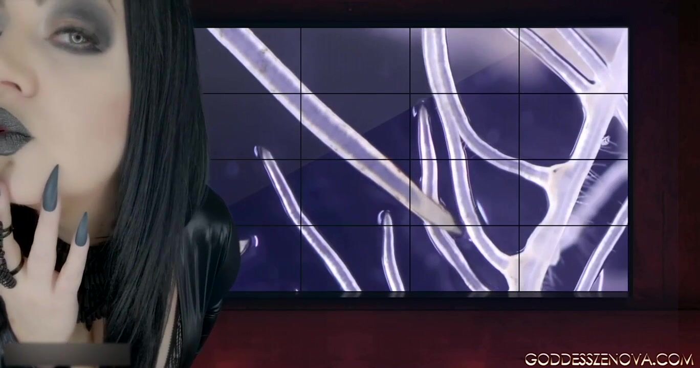 Goddess Zenova - Mind Virus