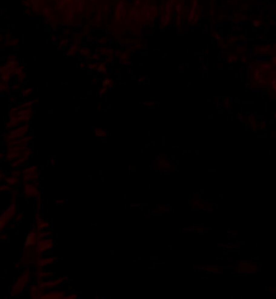BNWO PMV YOU CAN´T STOP WATCHING