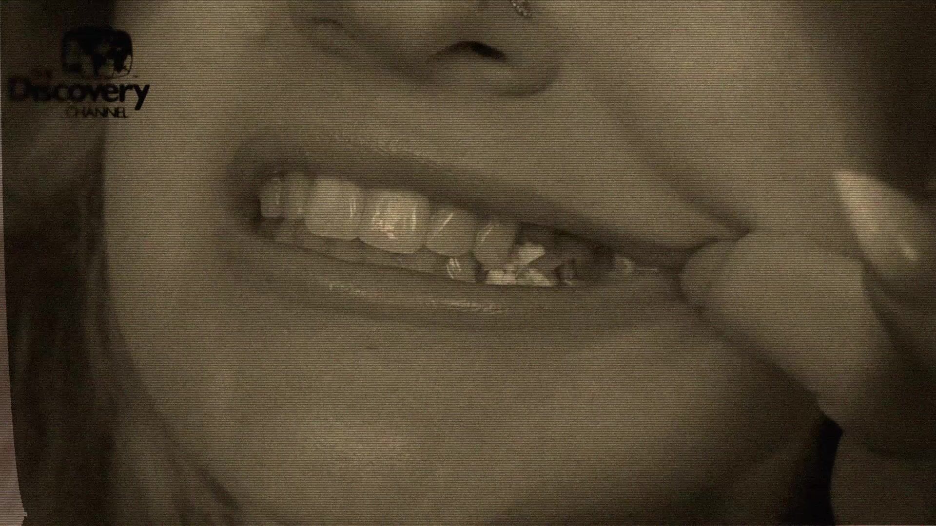 FemaleTeeth Human Mouth