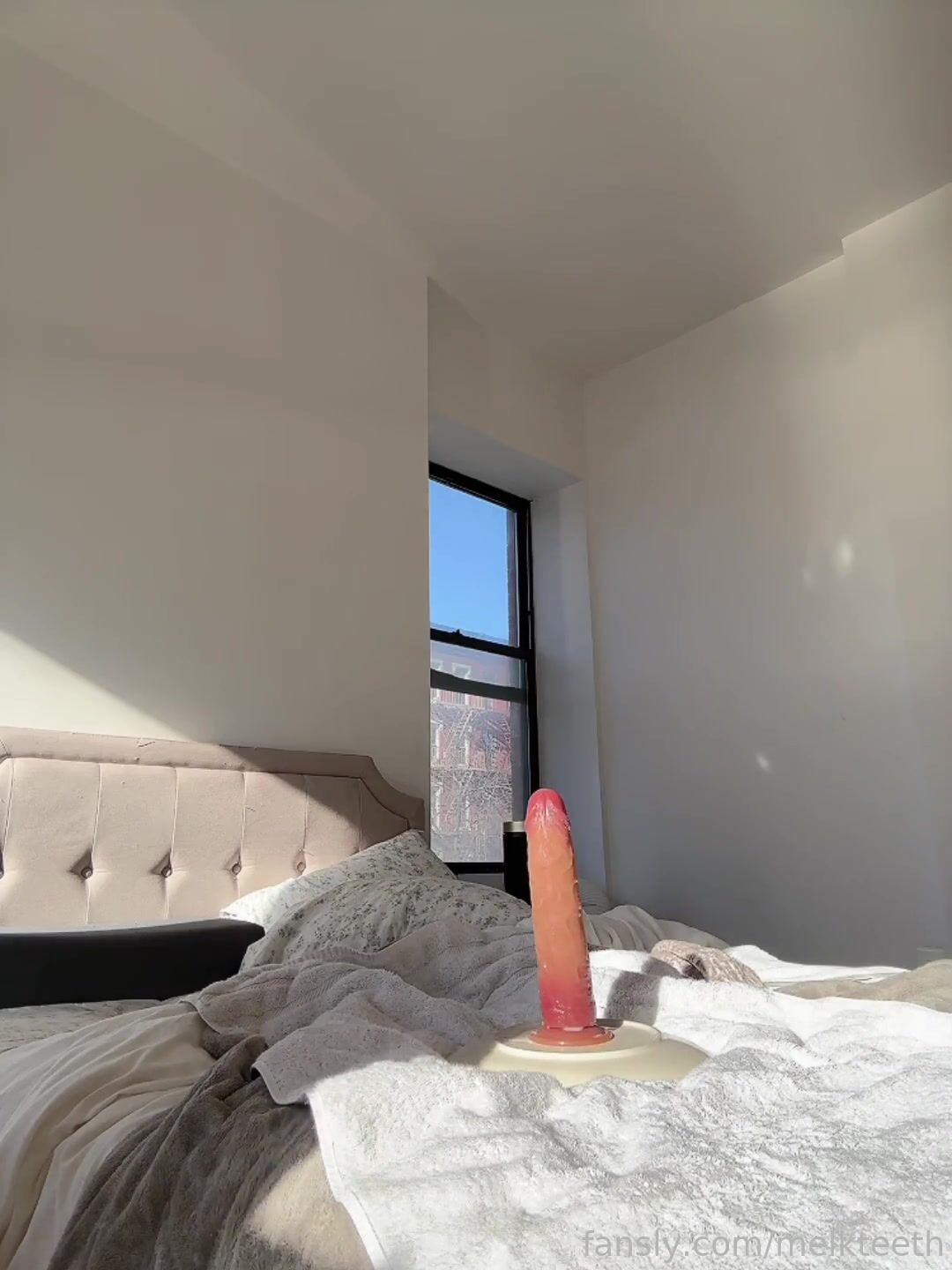 melkteeth 19