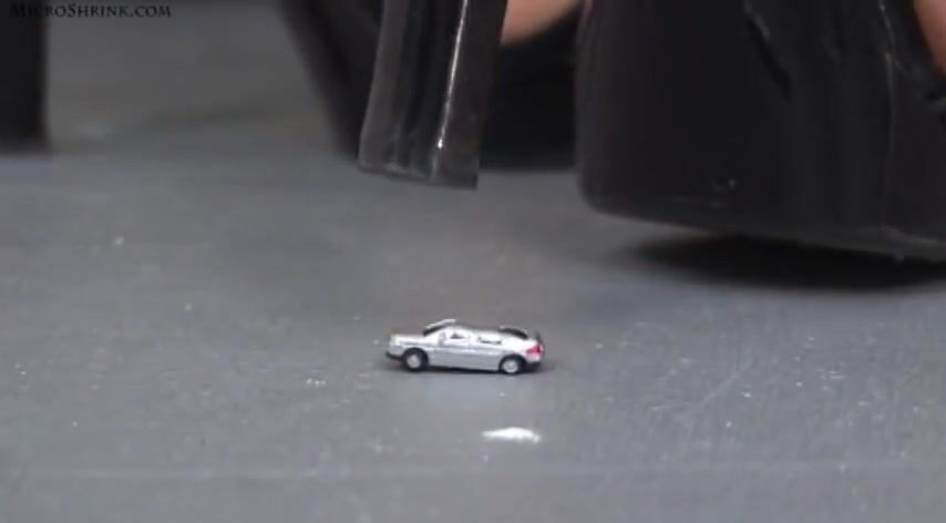 Tara Bush crusch cars