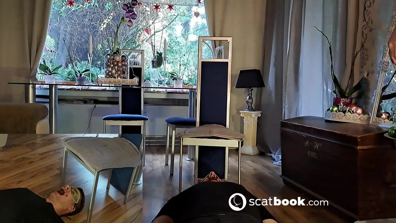 Scat swallow